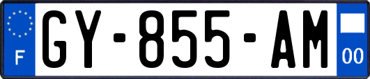 GY-855-AM