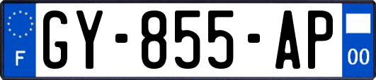 GY-855-AP