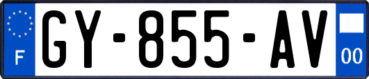GY-855-AV