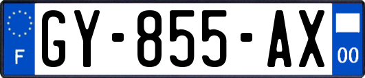 GY-855-AX