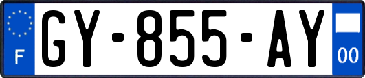 GY-855-AY