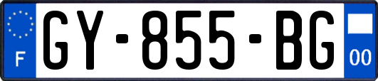 GY-855-BG