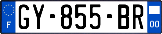 GY-855-BR