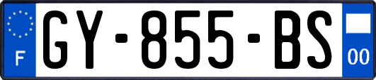 GY-855-BS