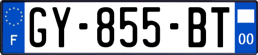 GY-855-BT