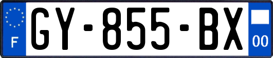 GY-855-BX