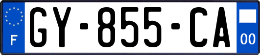 GY-855-CA