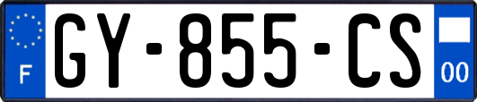 GY-855-CS
