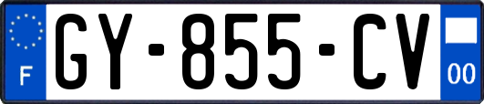 GY-855-CV