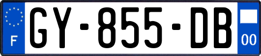 GY-855-DB