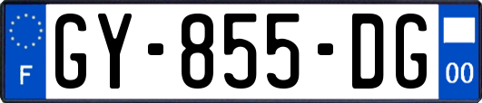 GY-855-DG