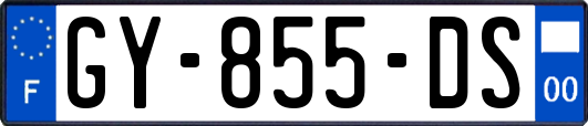 GY-855-DS