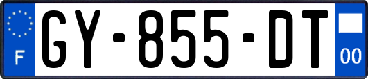 GY-855-DT
