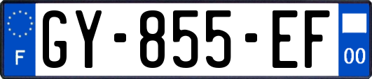 GY-855-EF
