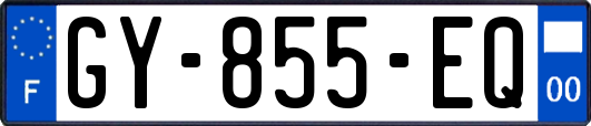 GY-855-EQ
