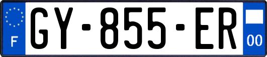 GY-855-ER