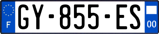 GY-855-ES
