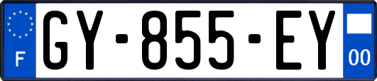 GY-855-EY