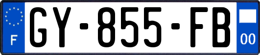 GY-855-FB