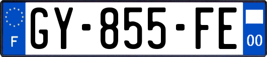 GY-855-FE