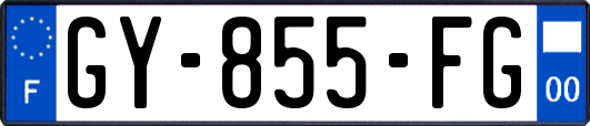 GY-855-FG