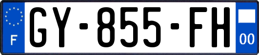 GY-855-FH