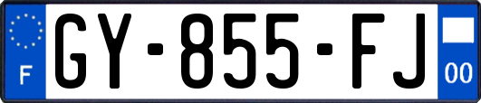 GY-855-FJ