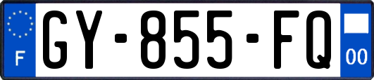 GY-855-FQ