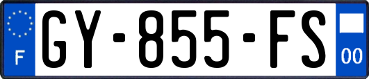 GY-855-FS