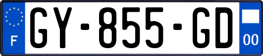 GY-855-GD