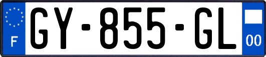 GY-855-GL