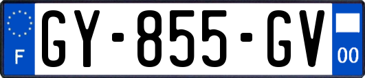 GY-855-GV