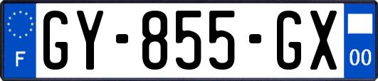 GY-855-GX