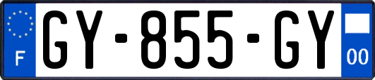 GY-855-GY