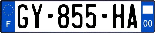 GY-855-HA