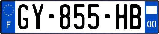GY-855-HB