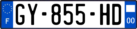 GY-855-HD