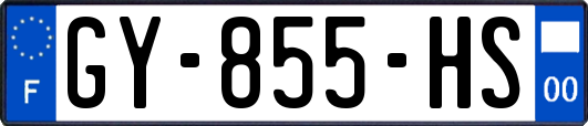 GY-855-HS