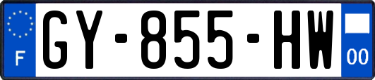 GY-855-HW