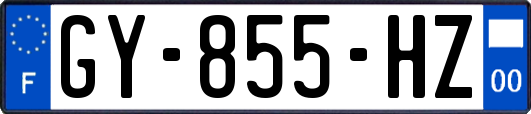 GY-855-HZ