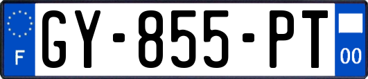 GY-855-PT