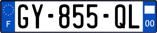 GY-855-QL