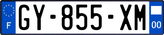 GY-855-XM