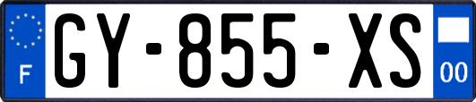GY-855-XS