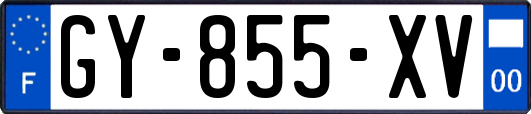 GY-855-XV