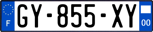 GY-855-XY