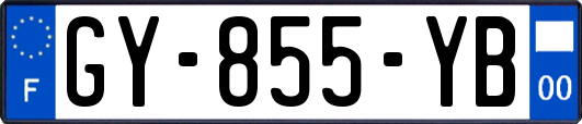 GY-855-YB