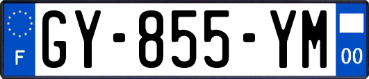 GY-855-YM