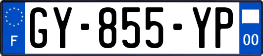 GY-855-YP