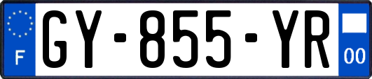 GY-855-YR